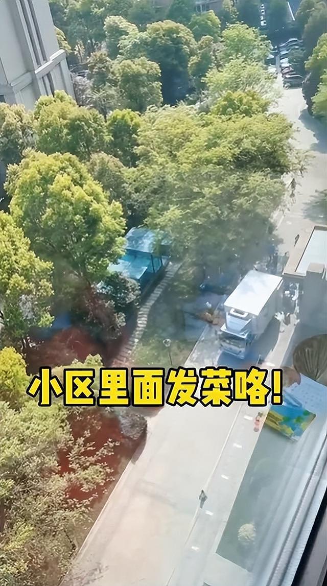 戴娇倩在晒上海隔离物资，两家人拼一箱蔬菜，自己还主动当志愿者 - 1