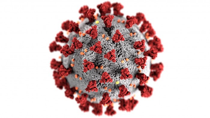 SARS-CoV-2-Coronavirus-CDC-Illustration-scaled.jpg