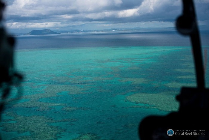 面临“降级”危机：是什么在威胁澳大利亚大堡礁？ - 1