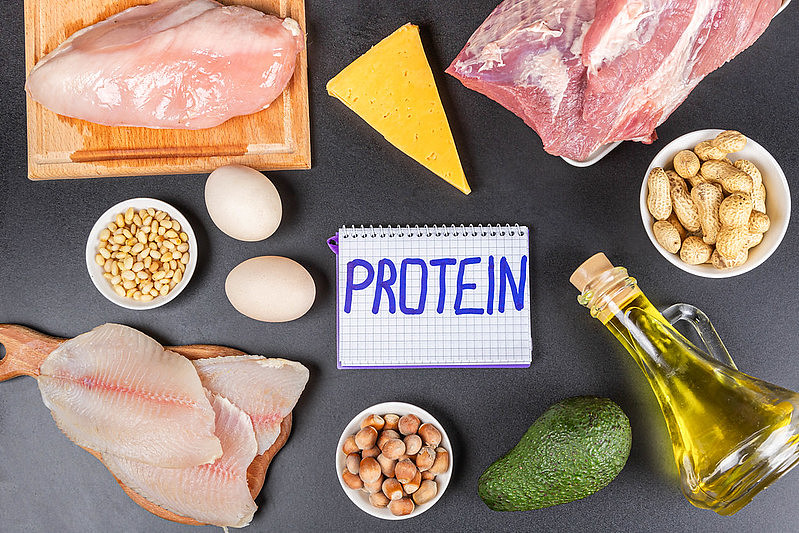 研究：减少饮食中的蛋白质可以改善健康并延长寿命 - 1