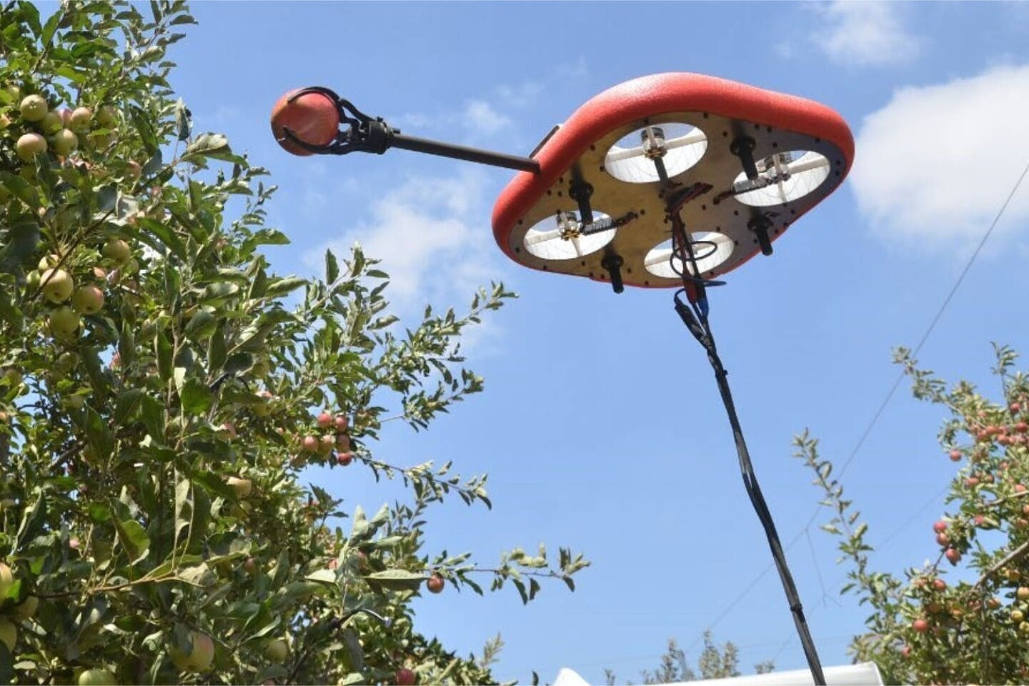 以色列初创公司开发出一套利用无人机采摘水果的系统 - 1