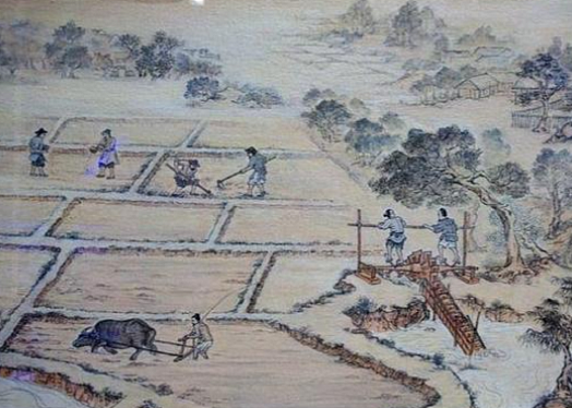 均田制：中国古代的土地分配制度 - 1