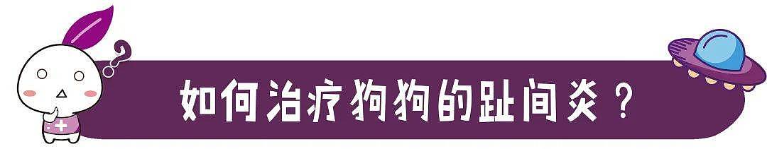 狗狗的脚趾缝红肿、消不掉是怎么回事？原因和防治别错过！ - 8