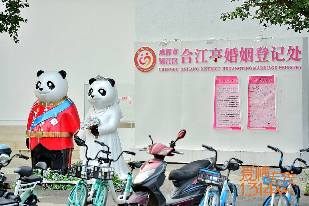 当熊猫遇见爱情 成都锦江区开展“锦江1314爱情专线”国际熊猫日活动 - 1