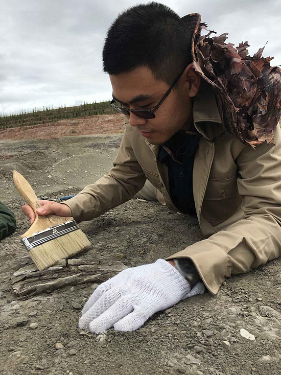 在一个飘着冷面和烤肉香的地方，找到了亚洲第一块腕龙化石 - 17