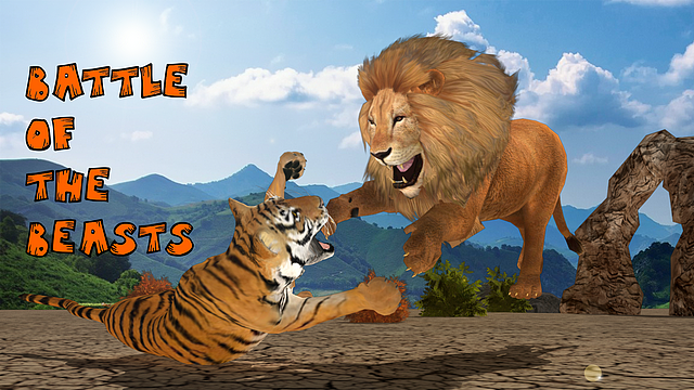 苏门答腊虎vs亚洲狮，事实证明，狮子无愧于“万兽之王”的称号 - 10