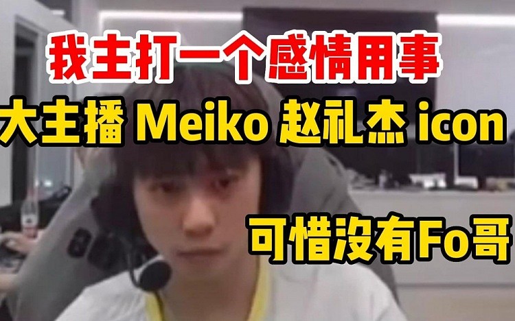 Ale十大选手：主打一个感情用事，投了大主播 meiko jiejie icon - 1