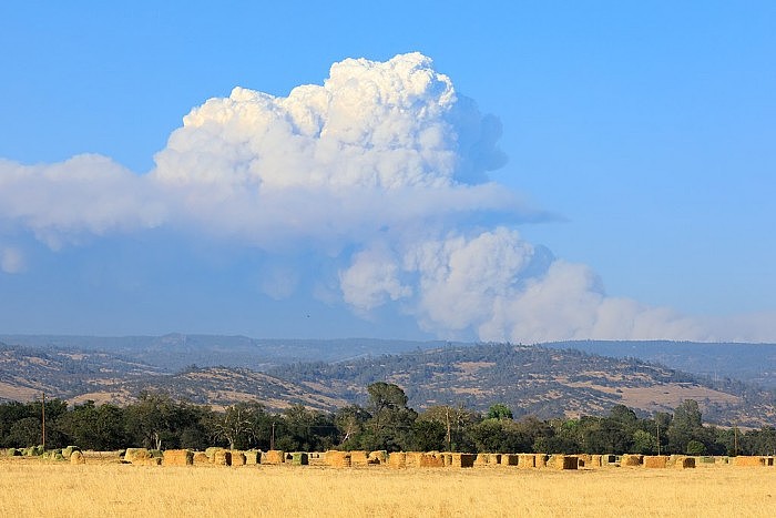 1024px-Pyrocumulus_cloud_produced_by_the_Dixie_Fire_on_July_22-5865.jpg