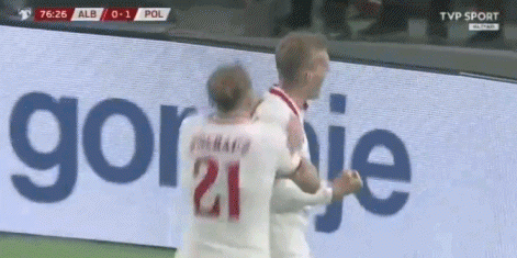 阿尔巴尼亚球迷在世预赛向波兰球员扔水瓶，导致比赛一度中断 - 2