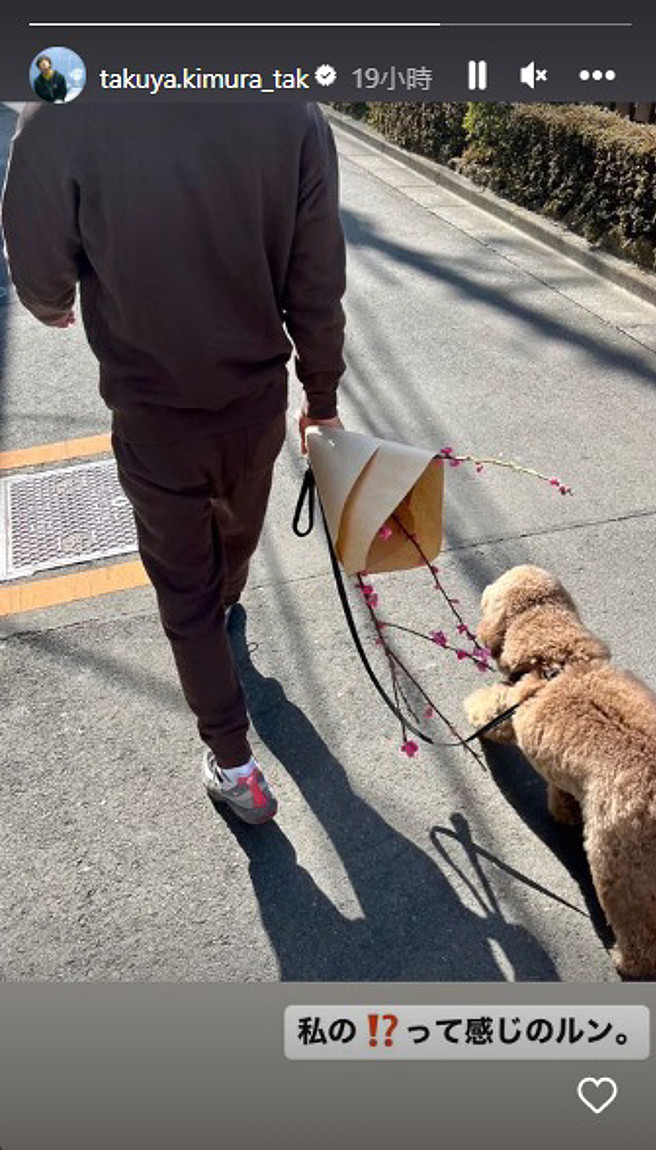 木村拓哉昨日曬出悠閒的遛狗日常，看起來未受傳聞影響。（圖/IG@takuya.kimura_tak）