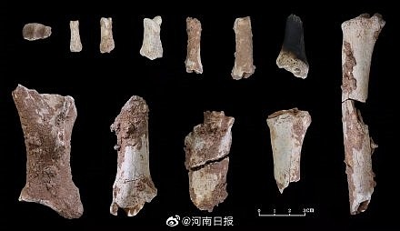 在河南发现3.2万年前的人类头骨化石 这究竟意味着什么？ - 2