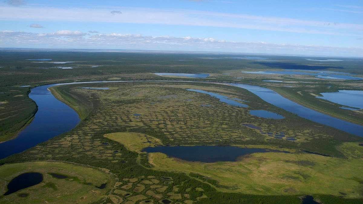 研究显示西伯利亚苔原可能会在本世纪中叶消失 - 4
