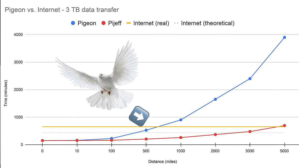 鸽子传送数据竟然比互联网更快？博主用实验揭秘 - 3