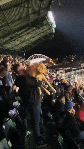 当体育场响起狮子王的主题曲后，全场狗子被迫“营业”！ - 1