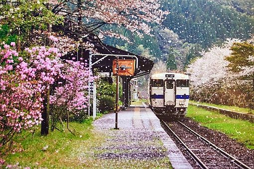 为何铁路便当成为日本代表性文化之一 - 5
