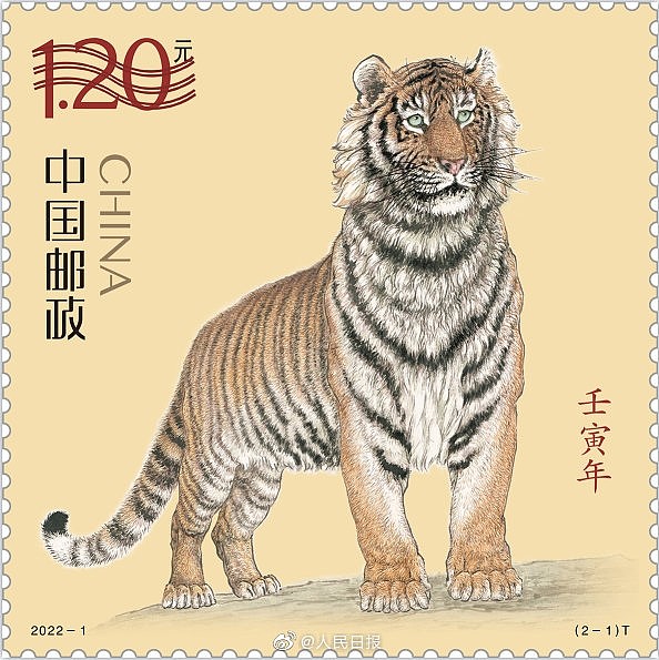 虎年生肖邮票正式亮相：虎妈妈带着两只小虎很温馨 - 1