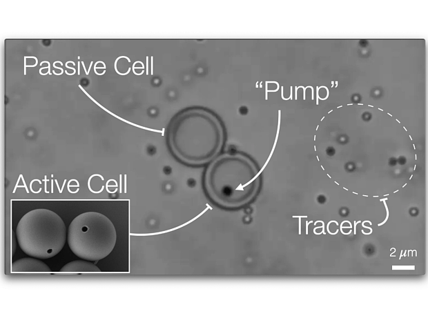 人造模拟细胞具有活细胞基本功能 - 1