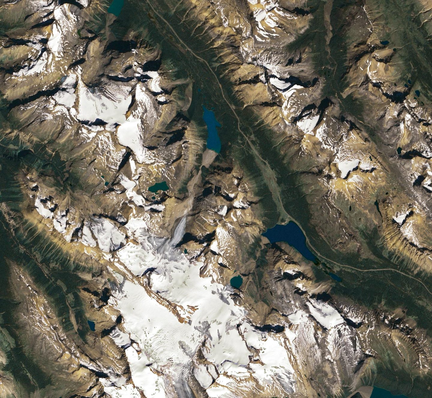 加拿大阿尔伯塔省佩托冰川已消耗其70%的质量 - 2