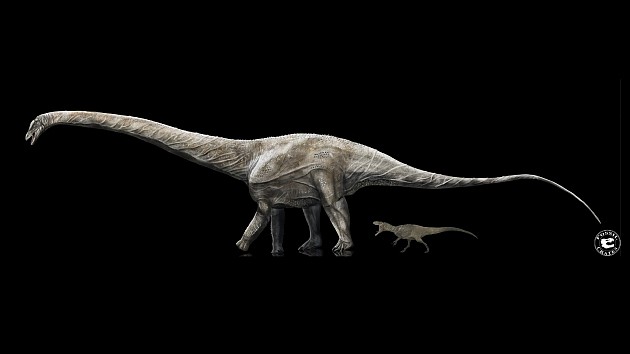 2021年的十个恐龙神奇大发现：首个保存完好的恐龙“屁眼” - 3