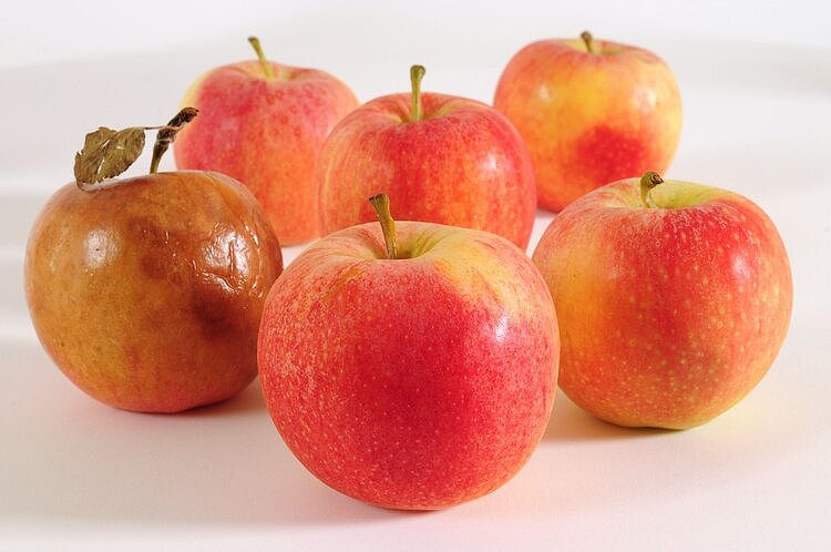 苹果减肥法，能让你短时间瘦下来！但是不健康，不建议尝试 - 1