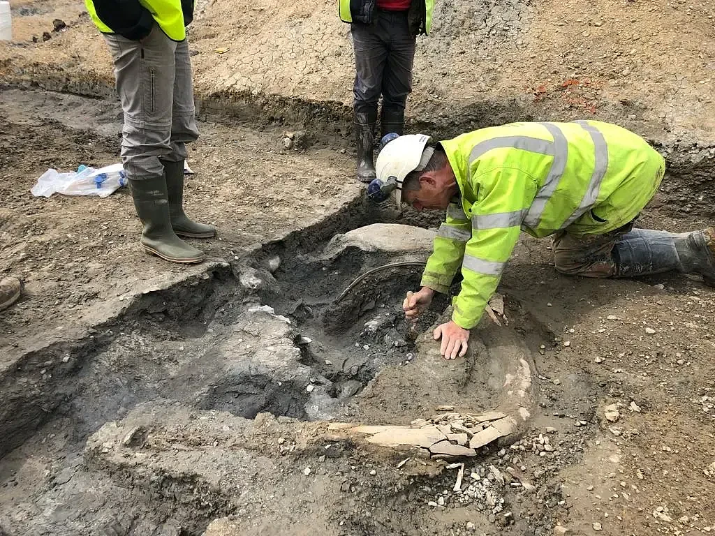 考古专家发现猛犸象墓地 附近还发现尼安德特人的石器残骸 - 1