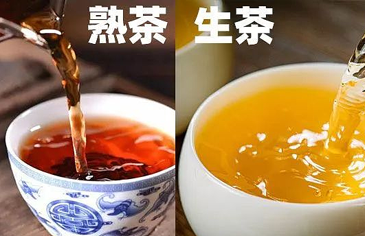 探秘普洱茶：生茶与熟茶的区别及优劣比较 - 1