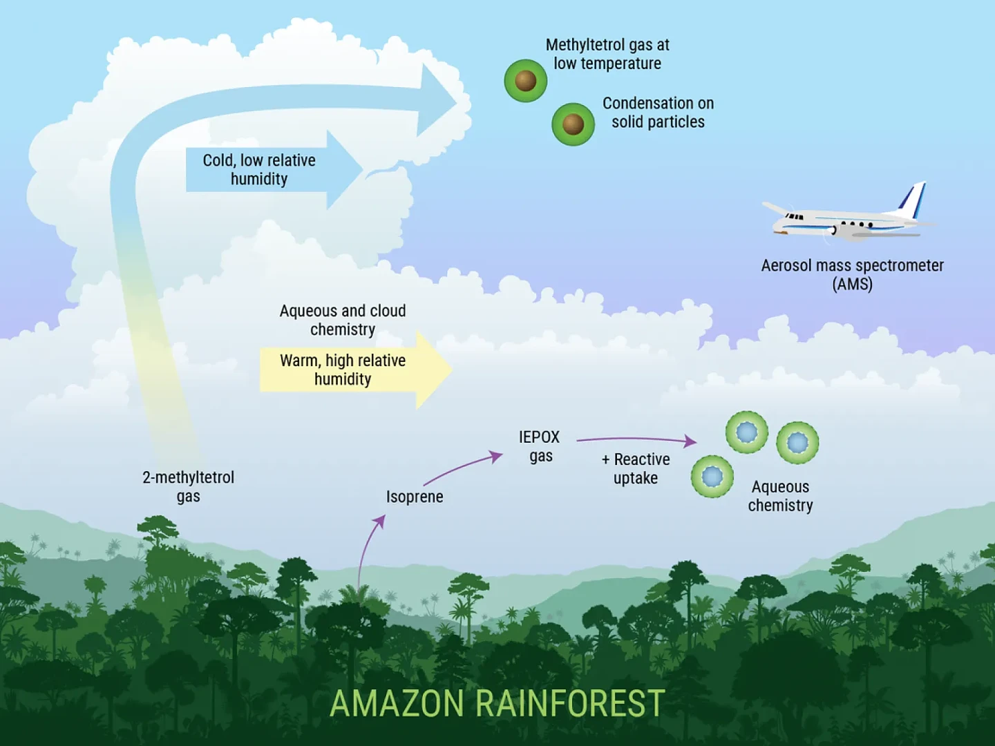 研究发现亚马逊雨林气体影响着地球大气层 - 1