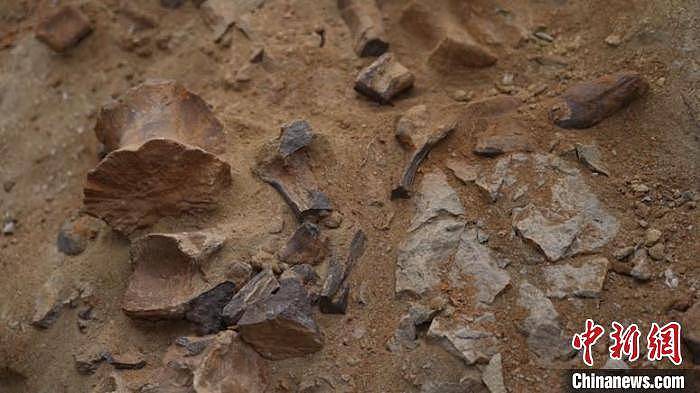 内蒙古巴彦淖尔发现一处恐龙化石 - 1
