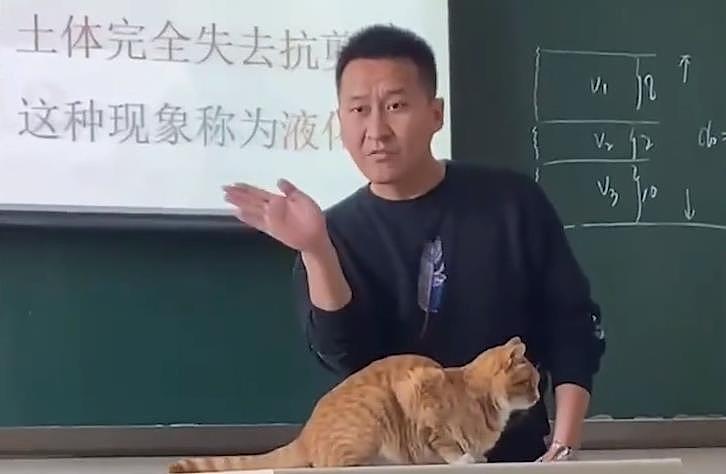内蒙古一老师用橘猫当教具讲“鞭梢效应”，猫：下课把猫粮结一下 - 2
