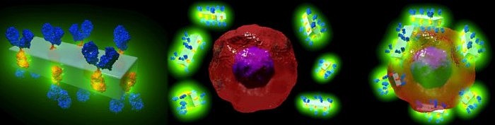 MOF-Antibody-Crystals-Seek-Out-Cancer-Cells-777x196.jpg