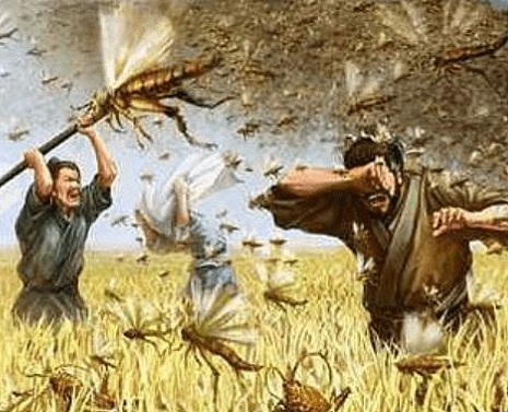 中国古代的智慧：治理蝗虫的有效方法 - 1