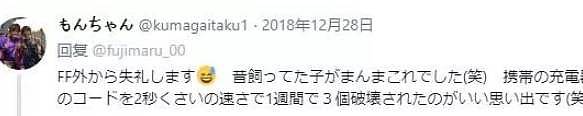 你对小兔子有多少了解？毛茸茸的外表~以及那张啃数据线的嘴 - 5