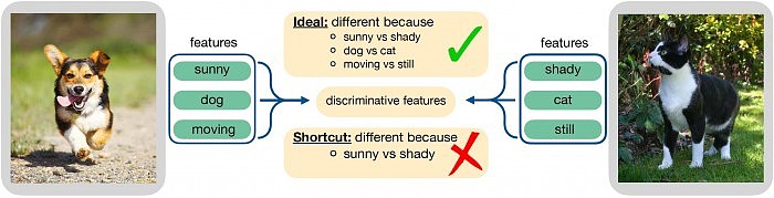 Reducing-Contrastive-Learning-Model-Shortcuts.jpg