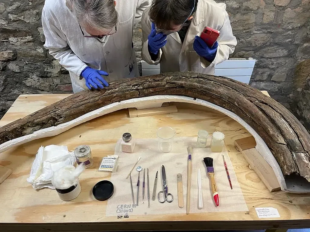 考古专家发现猛犸象墓地 附近还发现尼安德特人的石器残骸 - 2