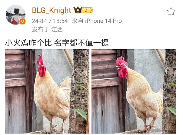 爆？?BLG瓦knight疑似阴阳FPX：小火鸡咋个比 名字都不值一提 - 1