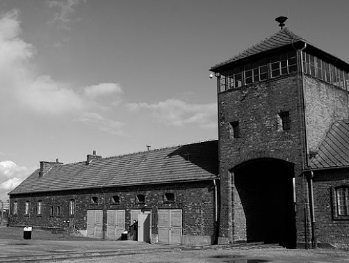 奥斯维辛集中营：二战期间的人间地狱 - 1