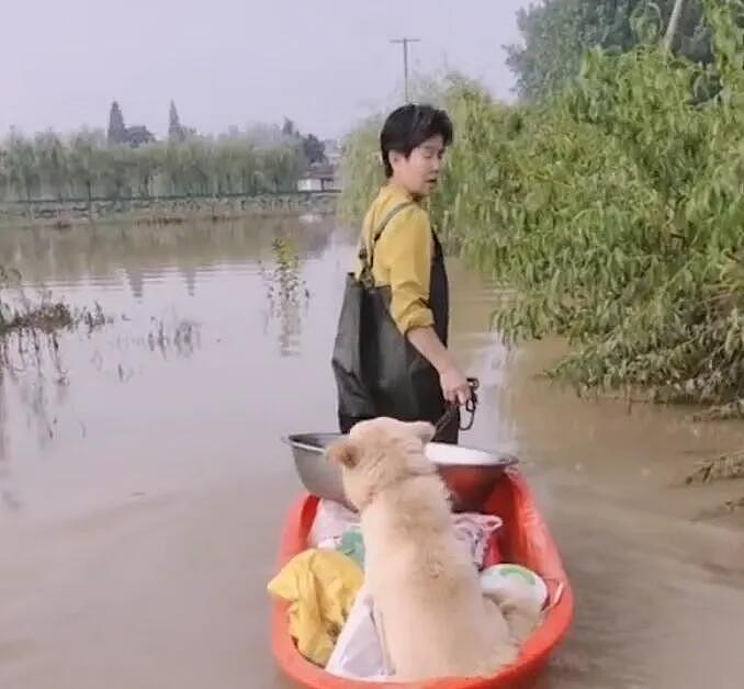 村庄被淹了，女子冒着危险回来接狗狗，这一幕太让人感动了！ - 3