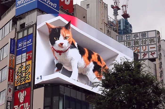 巨型喵星人亮相闹市街头，这只电子屏上的3D猫咪化身成热门景点 - 1