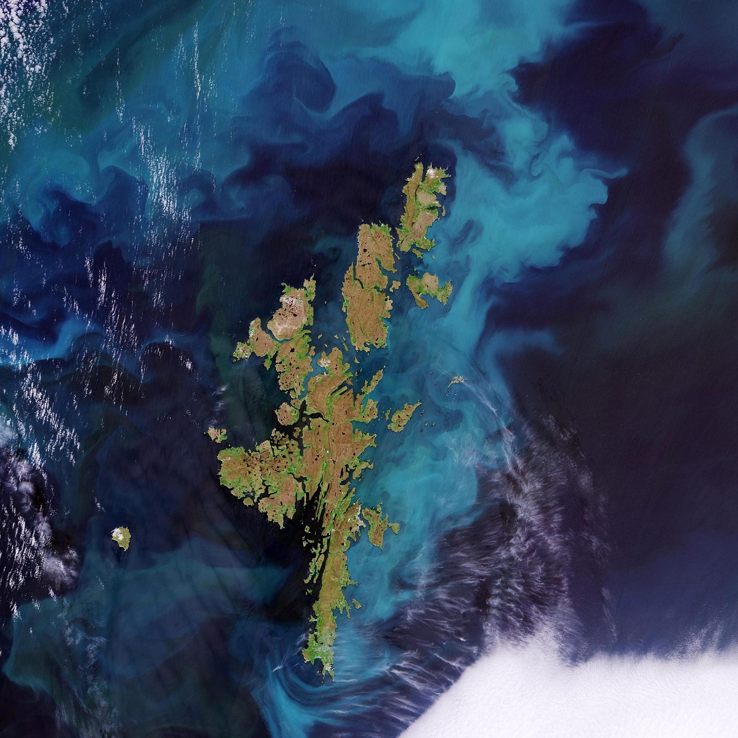 [视频]从太空看苏格兰设得兰群岛的艳丽水华 - 1