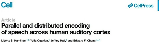 改写理论，华人神经科学家揭示大脑处理语音的运行机制 - 1