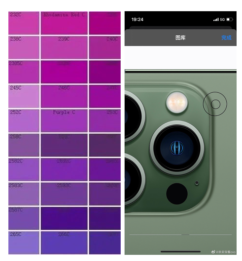 爆料：苹果 iPhone 14 / Pro 支持全新可变色紫色，“大小圆”True Tone 闪光灯设计 - 3