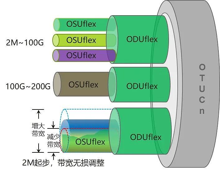 到底什么是 OSU 和 fgOTN？ - 10