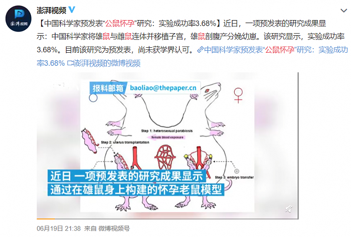 让公鼠怀孕的作者被狂喷 可网友们这次好像骂偏了 - 1