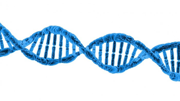 DNA-1.jpg