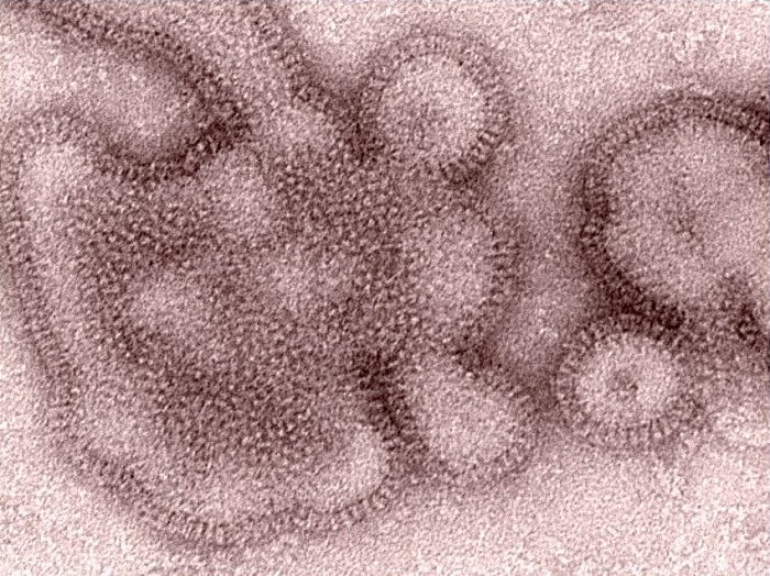 南方部分省份进入流感高发期 “怕热”的流感病毒为啥在夏季“作乱”？ - 2