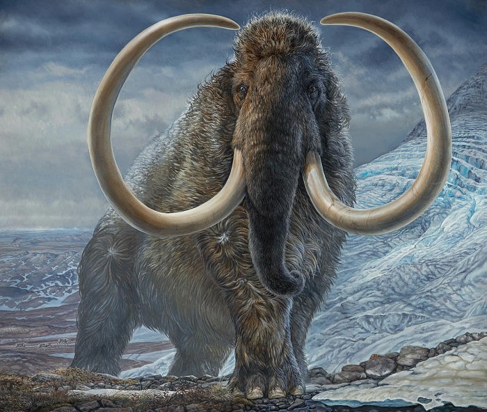 创企Colossal计划“复活”已灭绝的长毛猛犸象 - 2