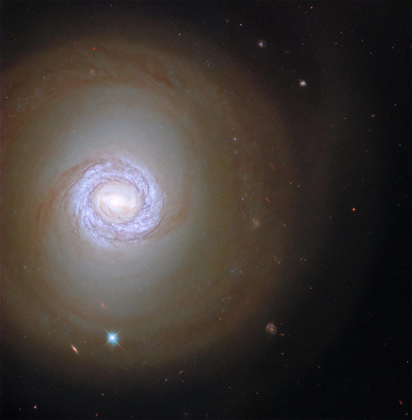 哈勃太空望远镜窥视美丽螺旋星系NGC 1317 - 1
