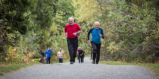 坚持锻炼5年帮助多大？大规模研究力证健身延缓大脑衰老 - 1
