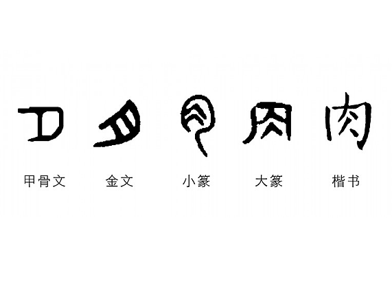 汉字之源：从甲骨文到现代汉字的演变之旅 - 1