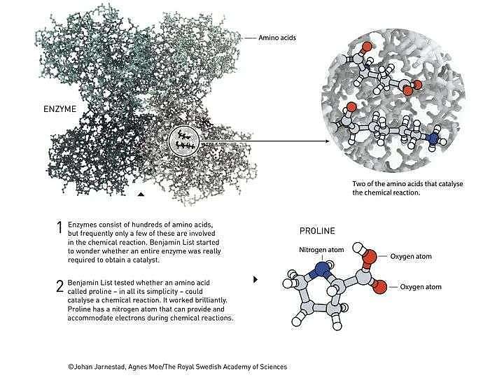2021 诺贝尔化学奖出炉：大热 mRNA 陪跑，给了这个或将改变制药和电池技术的研究 - 9